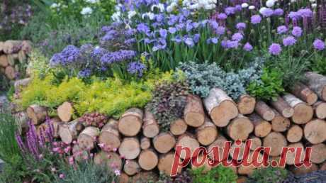 Дачный забор: идеи оформления на Supersadovnik.ru В деле обновления сада очень важную роль играет забор. Иногда только он одинспособен коренным образом изменить впечатление от участка. Почему это так и как сделать красивый забор на участке? Идеями по оформлению дачного забора делится дизайнер Ольга