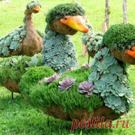Дачные идеи - МирТесен
