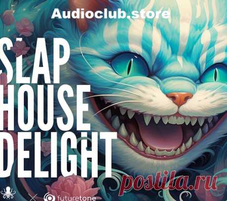 Tired of sifting through lackluster samples for your Slap House productions? Ready to elevate your sound with premium, pro-level tools? Look no further—Audio Club is thrilled to introduce Slap House Delight by Futuretone, a cutting-edge sample pack designed for producers who demand the freshest, most electrifying sounds in the Slap House scene. Packed with over 500+ high-quality samples and 600 MB of pure sonic inspiration, this collection is your golden ticket to crafting dance floor anthems