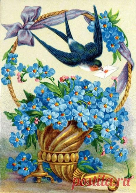 Винтажные открытки. Незабудки