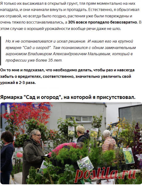 Мощная подкормка для перца от соседки, после которого кусты ломятся от урожая, а перец вырастает сладкий и мясистый | Агроном Еналиев | Яндекс Дзен