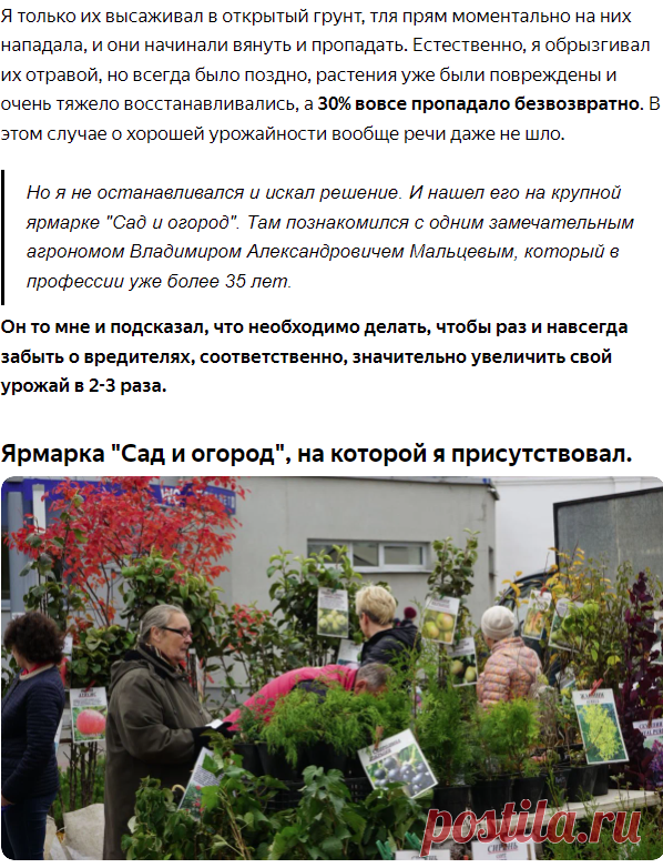 Мощная подкормка для перца от соседки, после которого кусты ломятся от урожая, а перец вырастает сладкий и мясистый | Агроном Еналиев | Яндекс Дзен
