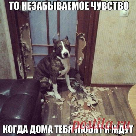 МИР ПОЗИТИВА