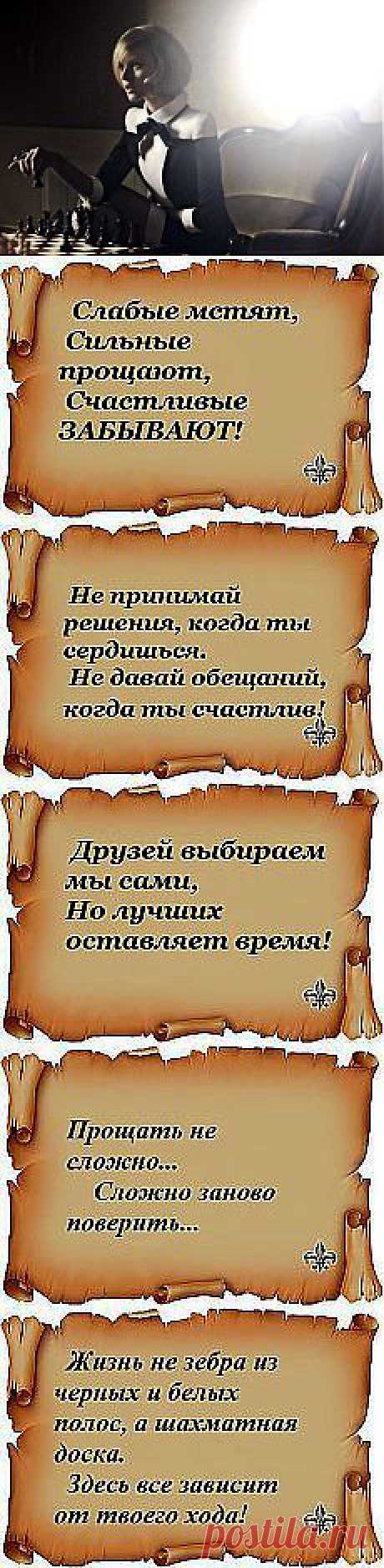 Галина Мармазова: цитаты | Постила