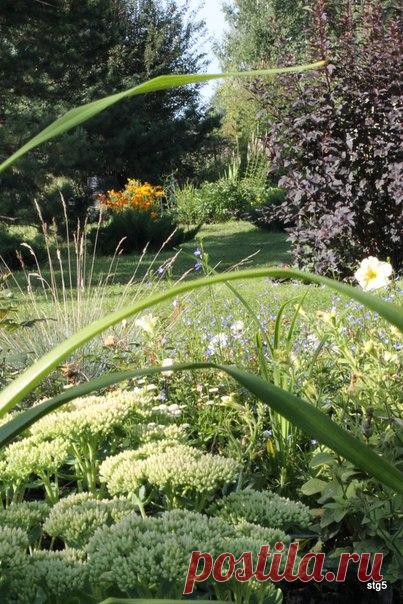 —А что это, вот там? — спросила Алиса, кивнув на заросли какой-то растительности на краю сада. — А это чудеса,— равнодушно пояснил Чеширский Кот. — И что же они там делают? — поинтересовалась девочка — Как и положено, — Кот зевнул. — Случаются…