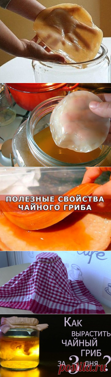 (27) Одноклассники