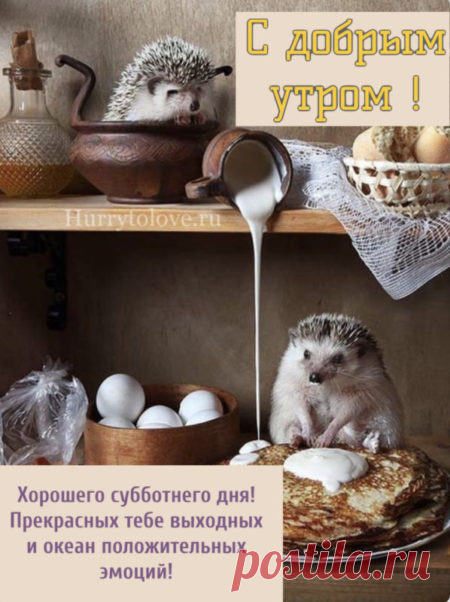 Картинки доброе субботнее утро: красивые открытки с пожеланиями