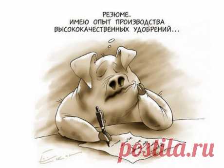смешные картинки приколы про работу: 2 тыс изображений найдено в Яндекс.Картинках