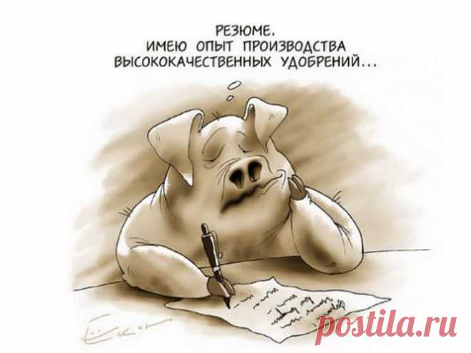 смешные картинки приколы про работу: 2 тыс изображений найдено в Яндекс.Картинках
