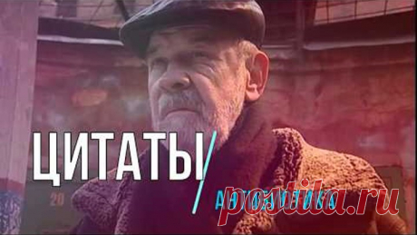 Цитаты - Антибиотика