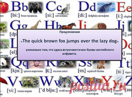 словарь