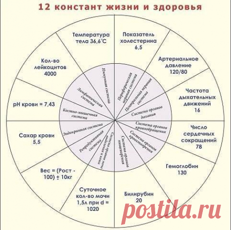 (100) Mariya Serheyeva поширила світлину від... - Mariya Serheyeva