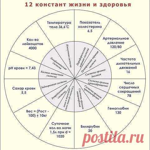 (100) Mariya Serheyeva поширила світлину від... - Mariya Serheyeva