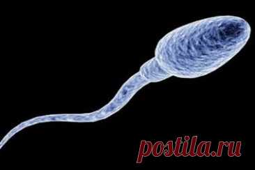 Найдём ответ в любой непонятной ситуации