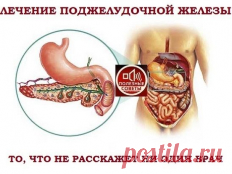 ✔ ПОЛЕЗНОСТИ : 
Сохраните, чтобы не потерять.
СОВЕТ 1 : ЛЕЧЕНИЕ ПОДЖЕЛУДОЧНОЙ ЖЕЛЕЗЫ НАРОДНЫМИ МЕТОДАМИ 
То, чего не расскажет ни один врач!
Поджелудочная железа — один из важных внутренних органов 
человеческого тела, который отвечает за наше пищеварение. Сбой в работе поджелудочной чреват осложнениями и целым рядом заболеваний, таких как панкреатит или сахарный диабет. К счастью, есть прекрасные народные средства, которые помогают лечить этот орган не хуже лекарств. Если у тебя есть проблемы