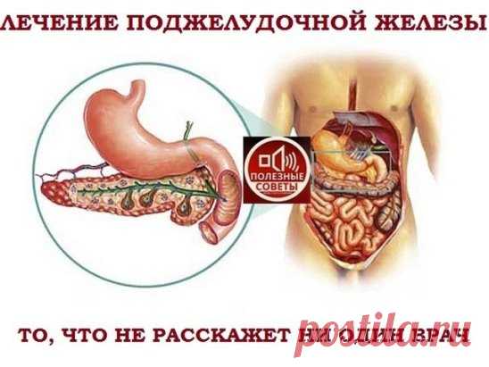 ✔ ПОЛЕЗНОСТИ : 
Сохраните, чтобы не потерять.
СОВЕТ 1 : ЛЕЧЕНИЕ ПОДЖЕЛУДОЧНОЙ ЖЕЛЕЗЫ НАРОДНЫМИ МЕТОДАМИ 
То, чего не расскажет ни один врач!
Поджелудочная железа — один из важных внутренних органов 
человеческого тела, который отвечает за наше пищеварение. Сбой в работе поджелудочной чреват осложнениями и целым рядом заболеваний, таких как панкреатит или сахарный диабет. К счастью, есть прекрасные народные средства, которые помогают лечить этот орган не хуже лекарств. Если у тебя есть проблемы