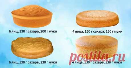 Куриное филе, запеченное с двумя сырами в томатном соусе - медиаплатформа МирТесен