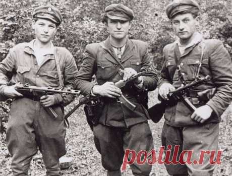 Кто больше всего хотел жить отдельно от СССР Советский принцип «каждая нация имеет право на самоопределение» предполагал создание унитарного полиэтнического государства. Однако некоторые нации желали самоопределяться по-своему, в том числе выйдя…