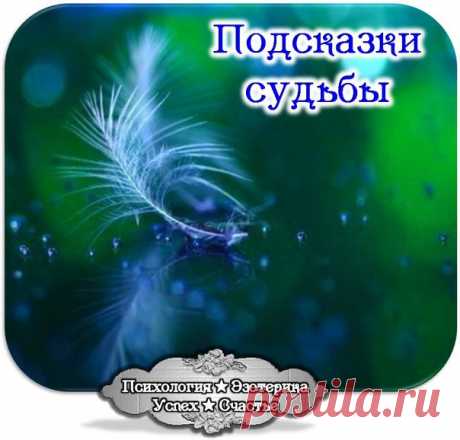 ПОДСКАЗКИ СУДЬБЫ, ИЛИ КАК НАУЧИТЬСЯ ЧИТАТЬ ЗНАКИ
