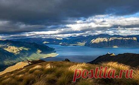 (*) Newsfeed | Minds