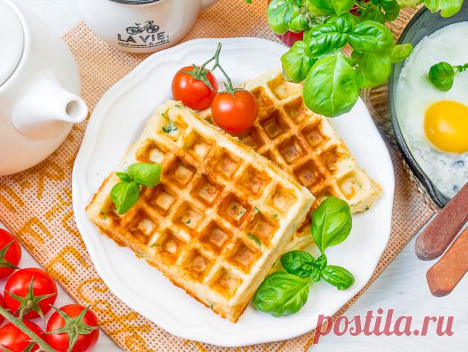 Сырные вафли к завтраку - вкусные проверенные рецепты, подбор рецептов по продуктам, консультации шеф-повара, пошаговые фото, списки покупок на VkusnyBlog.Com