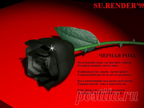 Легенда о Чёрной Розе | МУЗА НАШЕГО ДВОРА