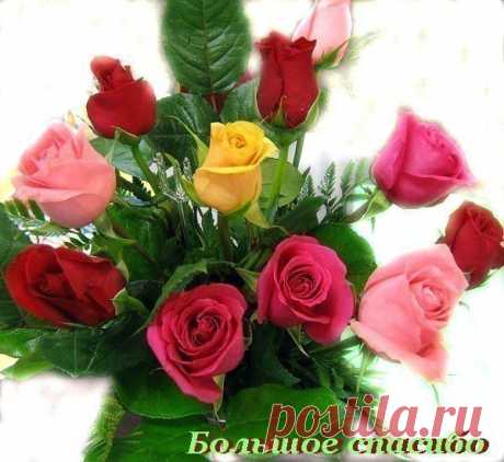 ╰⊰✿♥ღ♥ღ✿⊱С МЕЖДУНАРОДНЫМ ЖЕНСКИМ ДНЁМ!!!⊰✿♥ღ♥ღ✿⊱╮ - ОГОНЁК - Группы Мой Мир