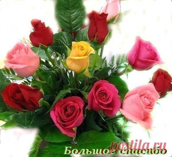 ╰⊰✿♥ღ♥ღ✿⊱С МЕЖДУНАРОДНЫМ ЖЕНСКИМ ДНЁМ!!!⊰✿♥ღ♥ღ✿⊱╮ - ОГОНЁК - Группы Мой Мир