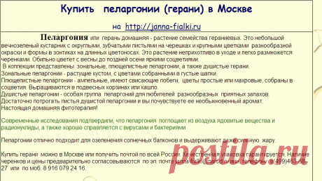Пеларгонии в Москве и почтой из каталога Жанны Алексеевой