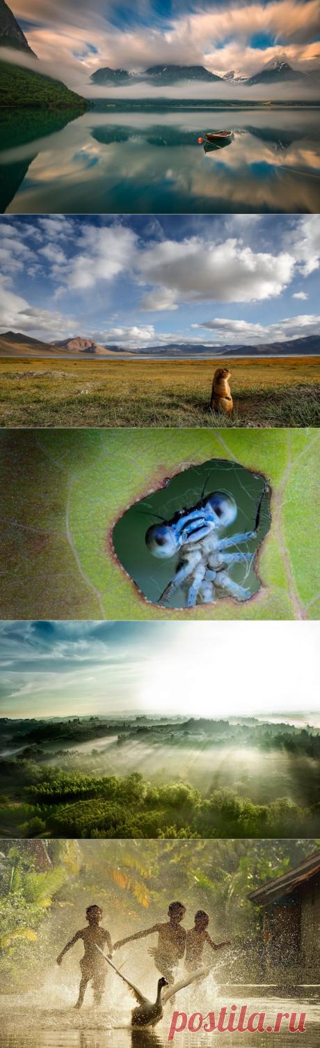Без фотошопа