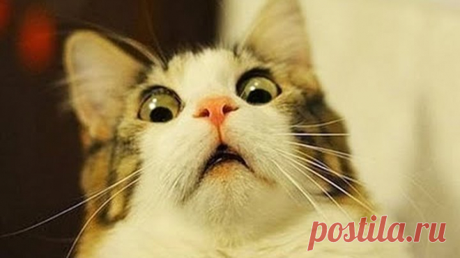 Отправил приставов к...физическому лицу.