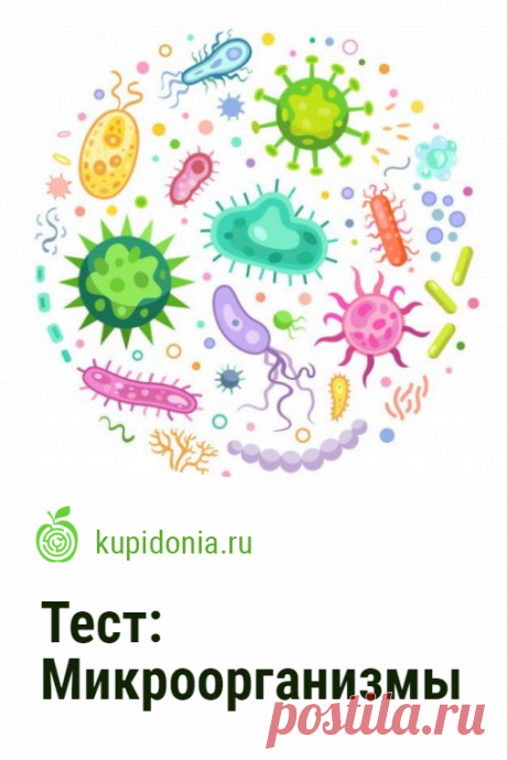 Тест: Микроорганизмы. Проверочный тест по биологии. Школьная программа. Пройдите тест на сайте и проверьте свои знания!