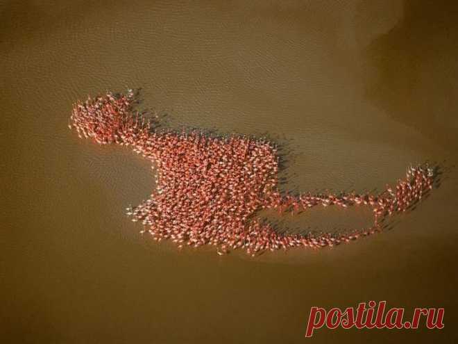 23 фотографии со всего света о том, насколько удивительна наша планета — Лист Клевера