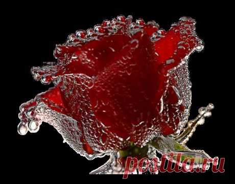 Плейкаст «ДЛЯ ТЕБЯ... ТЕПЛО ДУШИ МОЕЙ...»