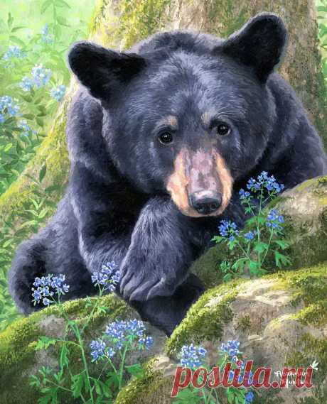 Художник Abraham Hunter.