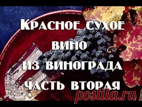 Сухое вино , часть2  Снаятие с осадка,осветление, разлив, карбонизация Видео 18+