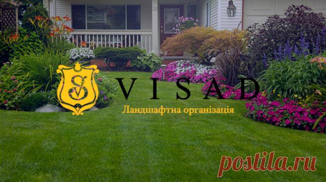 Озеленение в Киеве и уход за садом от компании Visad