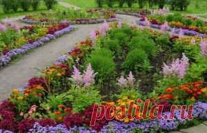 Цветочные заботы августа