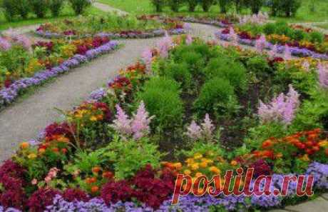 Цветочные заботы августа