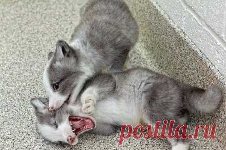 (2) Facebook