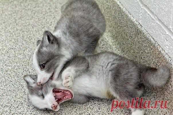 (2) Facebook