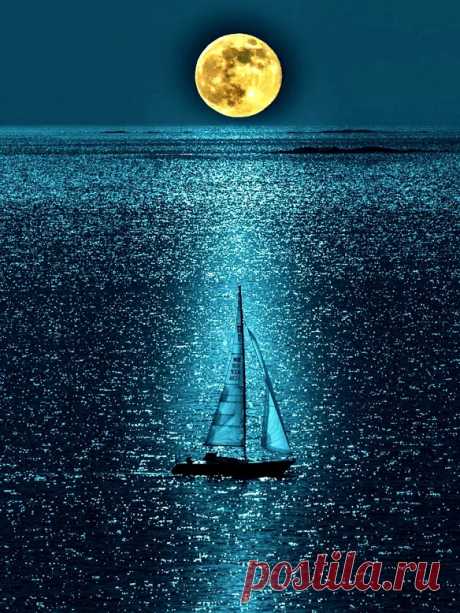 LEO M. - Google+
