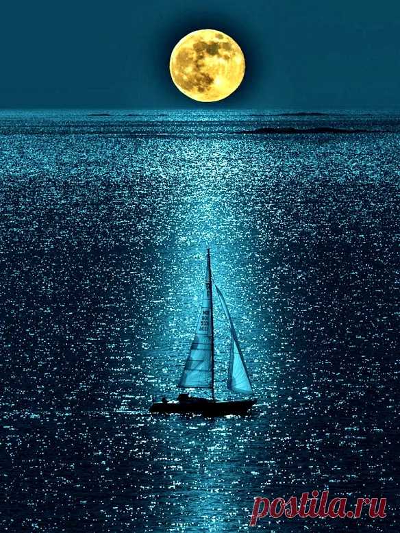 LEO M. - Google+