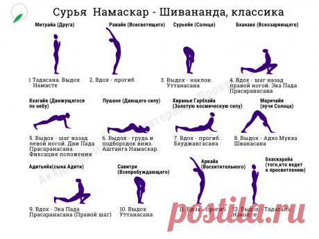 Сурья Намаскар для начинающих | Психология