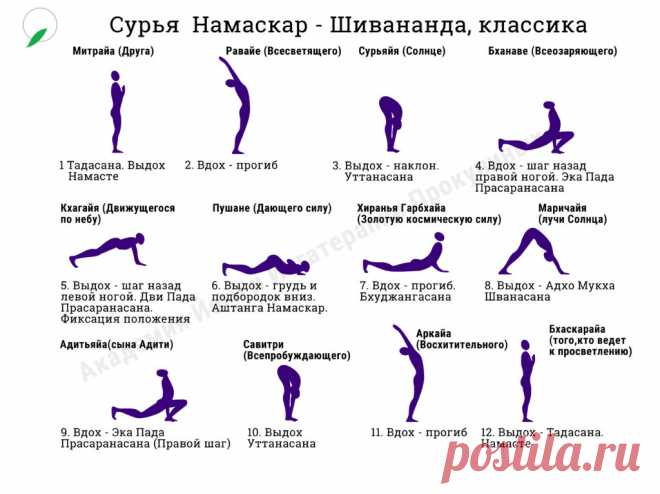 Сурья Намаскар для начинающих | Психология