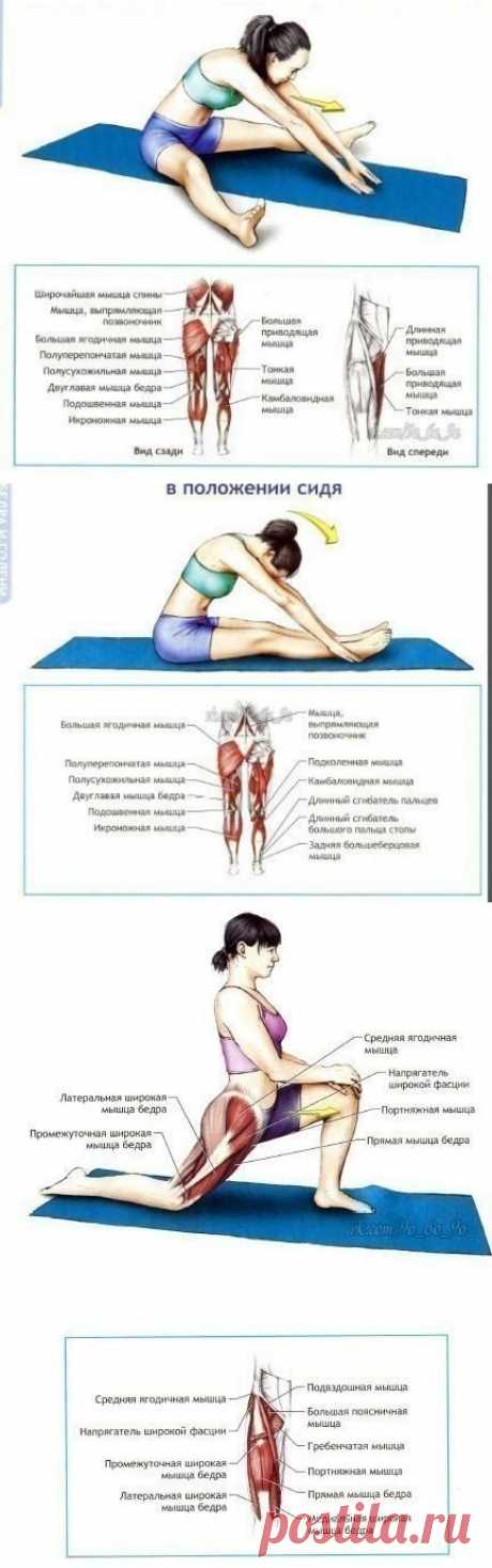 Упражнения на растяжку и гибкость..