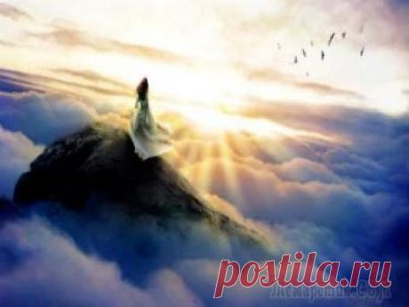 Мысли вслух... Живём , как в сотах.Связаны цепОчкой Из кодов доступа к файлам ДНК И трудимся, не покладая рук, и днём и ночью, А место наше - широта и долгота Порою вырвешься душой  в пространство И рыщешь взглядом ...