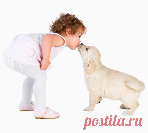 Ребенок и щенок — правила для родителей | My Milady