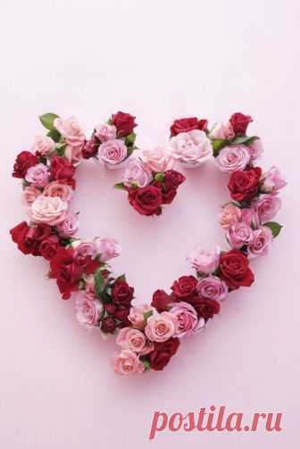 Pinterest (Пин) (953)