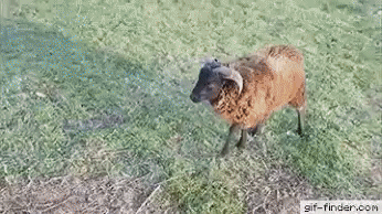 Gotta LAUGH!! - Google+